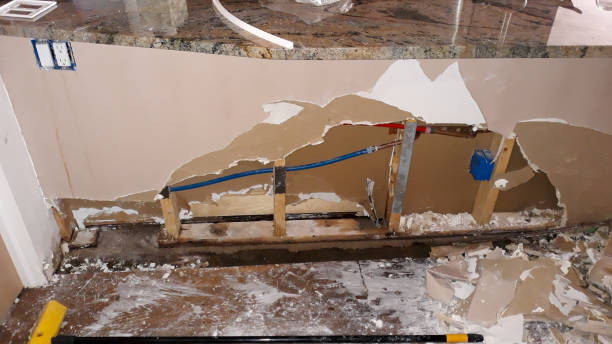Best Local water damage restoration  in Watsonville, CA