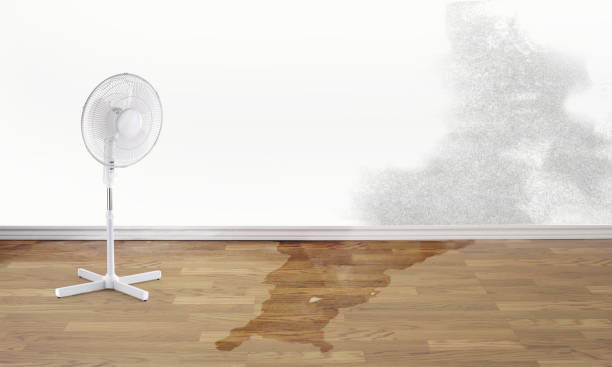 Best Flood damage cleanup  in Watsonville, CA
