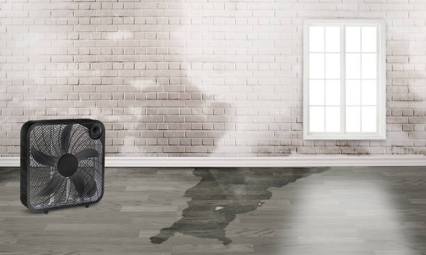 Best Water damage restoration company  in Watsonville, CA