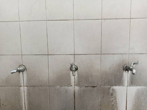 Best Mold removal after water damage  in Watsonville, CA