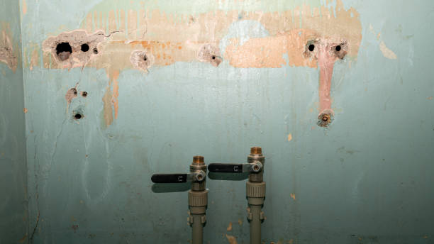 Best Water damage restoration near me  in Watsonville, CA
