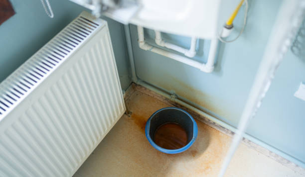 Best Water damage cleanup near me  in Watsonville, CA