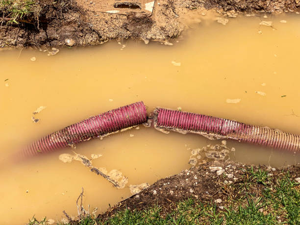 Best Residential water damage restoration  in Watsonville, CA